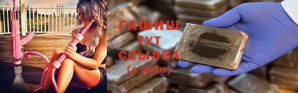 прущие грибы Алзамай