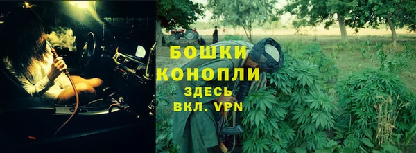 винт Дубовка